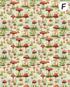 Watercolor mushrooms clay transfer sheet D886
