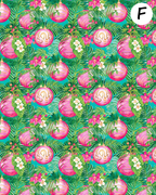 Preppy Tropical Santa clay transfer sheet E942