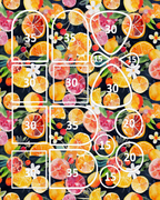 Citrus Petals clay transfer sheet E977