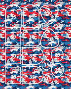Patriotic Camo clay transfer sheet E983