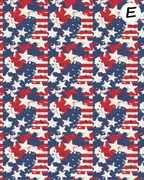 Patriotic Camo clay transfer sheet E983