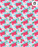 VERY BERRY clay transfer sheets E988