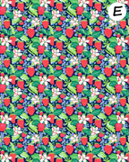 VERY BERRY clay transfer sheets E988