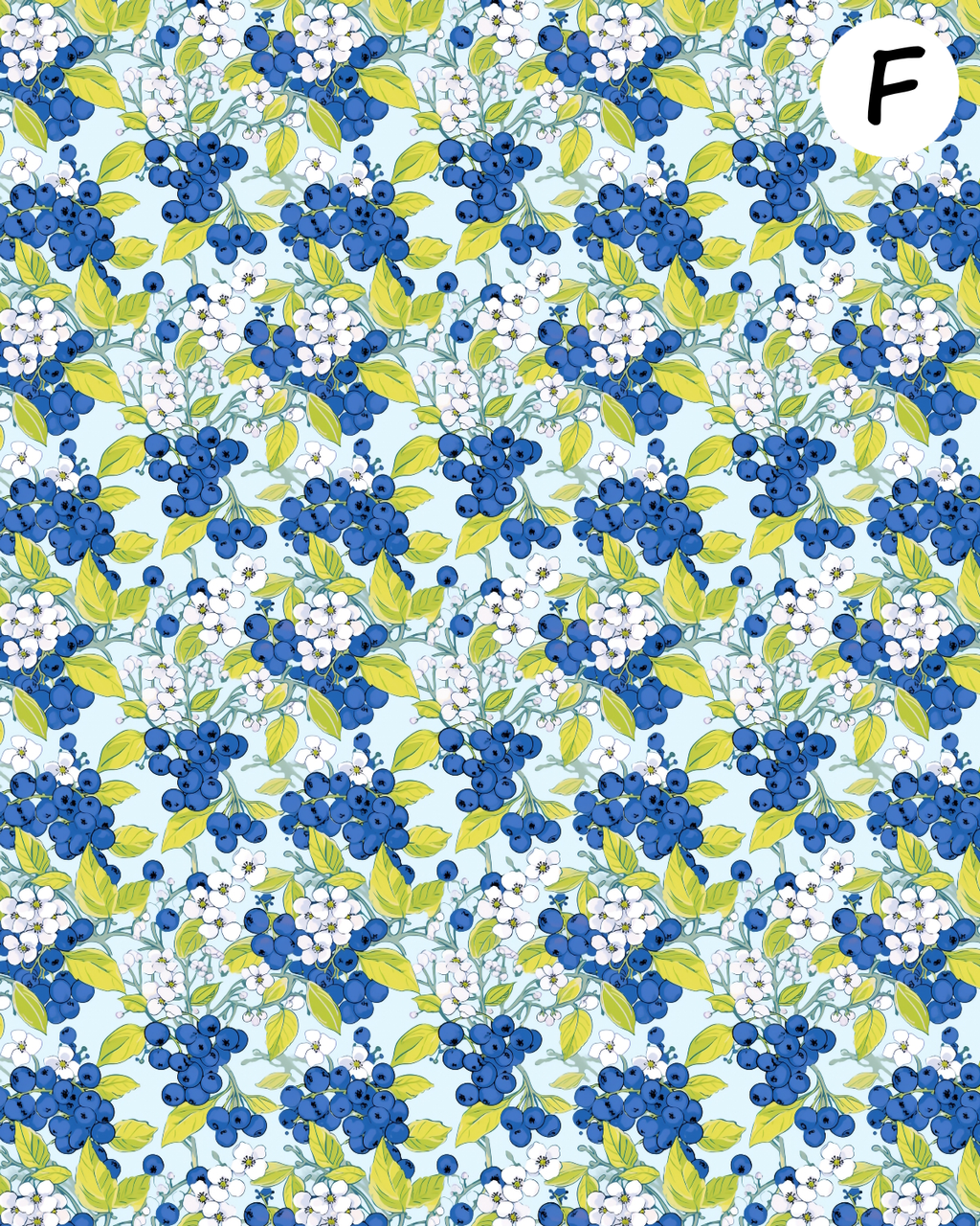 VERY BERRY clay transfer sheets E988