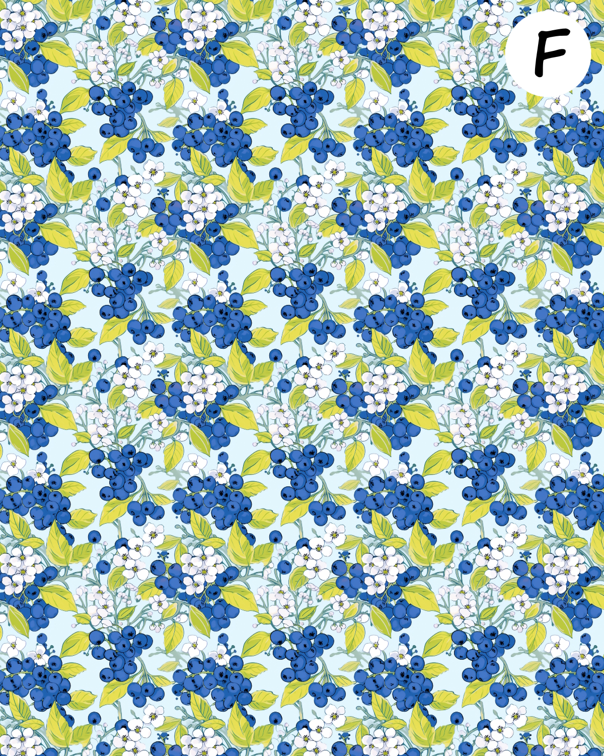 VERY BERRY clay transfer sheets E988