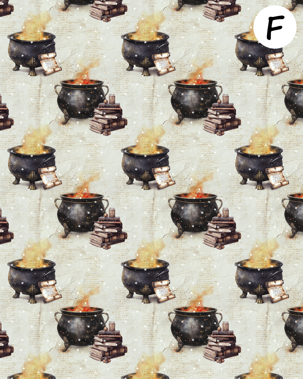 YOUNG WIZARDS clay transfer sheets E989