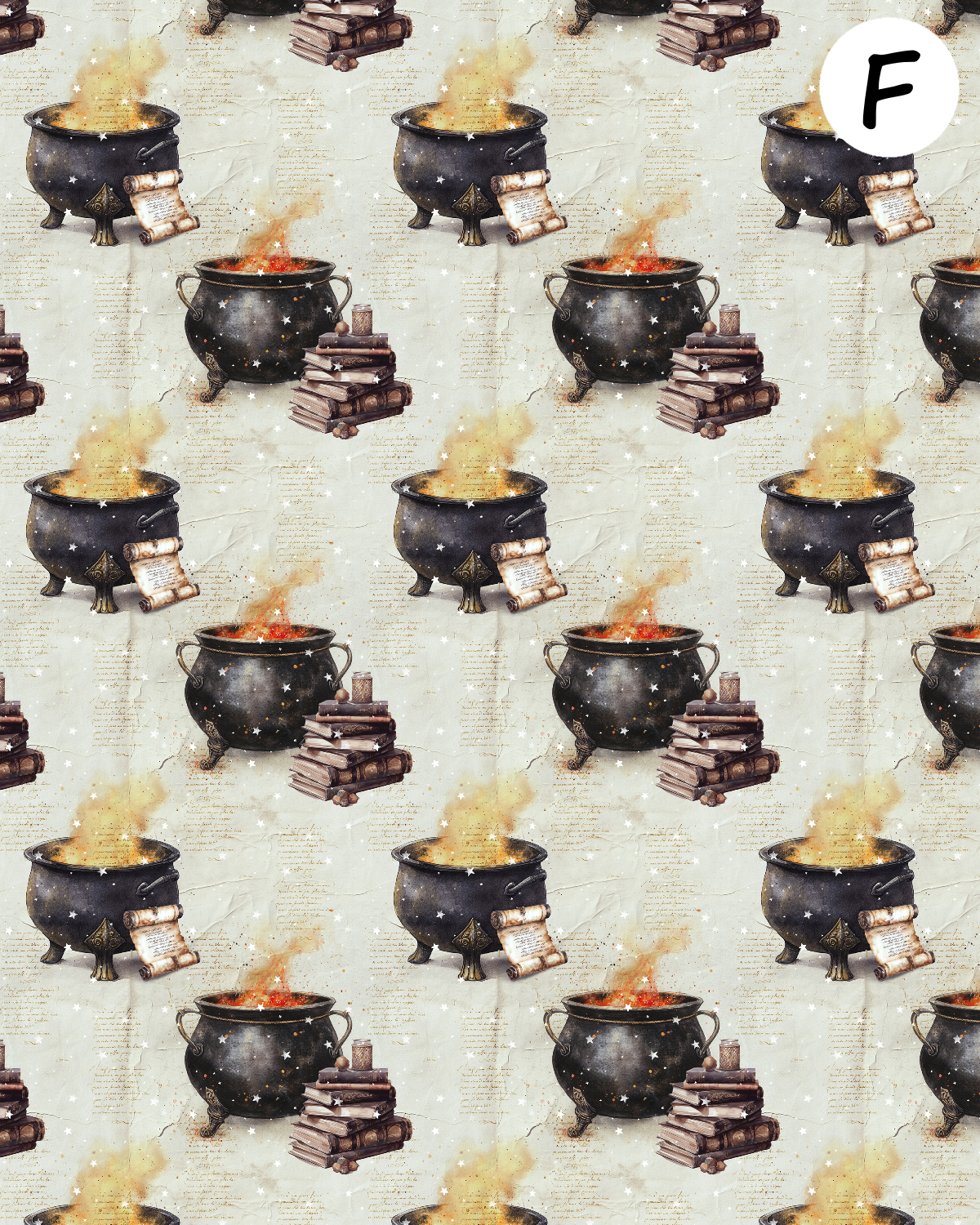 YOUNG WIZARDS clay transfer sheets E989