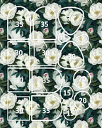 PEONIES clay transfer sheets F108