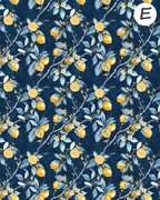 Santorini Citrus Polymer Clay Transfer Sheets F165 | Mediterranean Lemon Collection