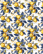 Santorini Citrus Polymer Clay Transfer Sheets F165 | Mediterranean Lemon Collection