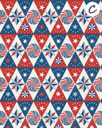 FREEDOM FIREWORKS Polymer Clay Transfer Sheets F186